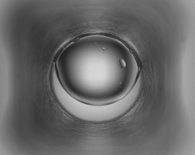 X0000113311173200909211136