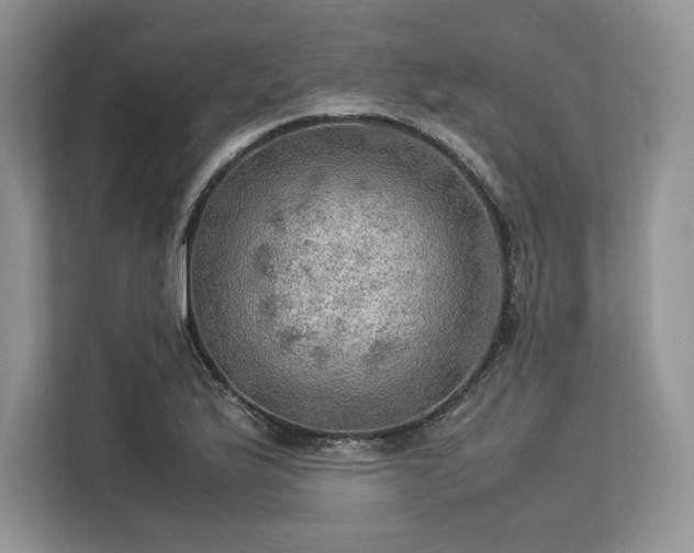 X0000113311175200909211136