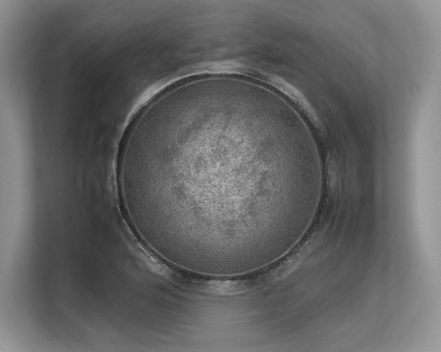 X0000113311176200909211136