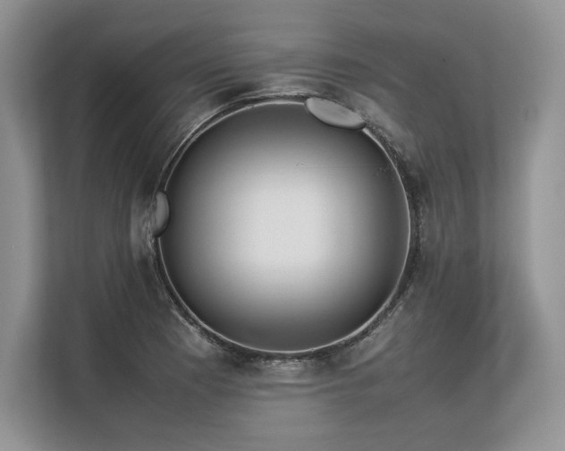 X0000113311177200909211136