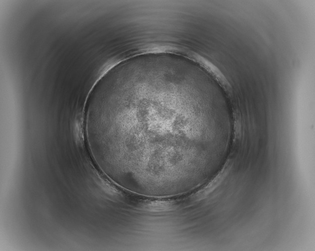 X0000113311178200909211136