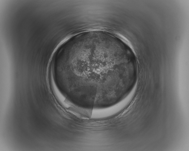 X0000113311179200909211136