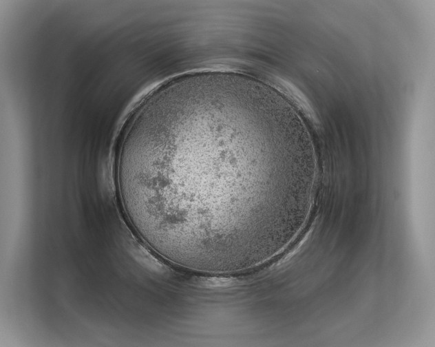 X0000113311180200909211136