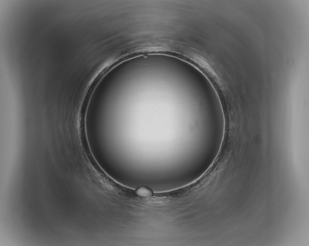 X0000113311181200909211136