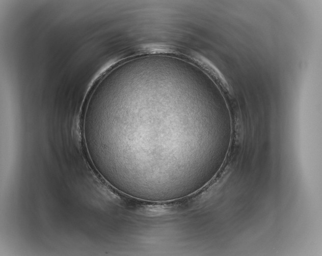 X0000113311182200909211136