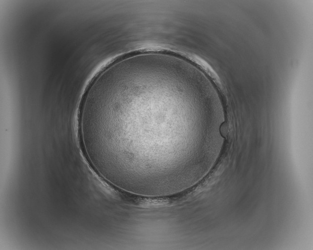 X0000113311183200909211136