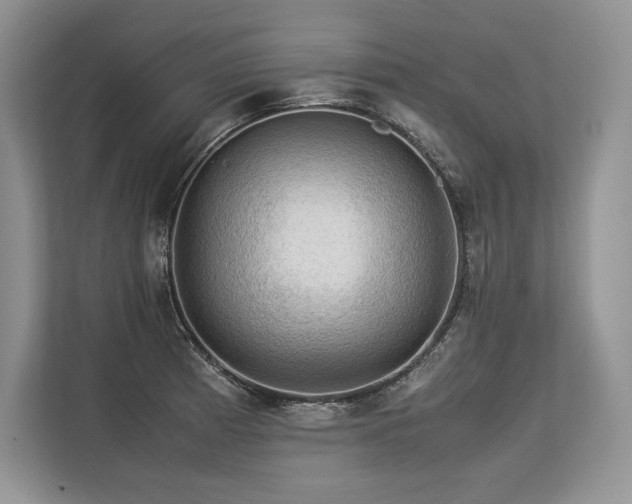 X0000113311185200909211136