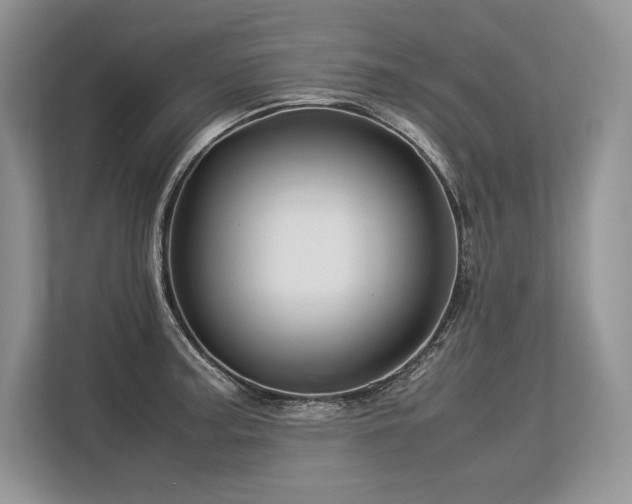 X0000113311187200909211136