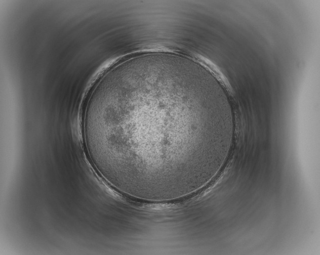 X0000113311188200909211136