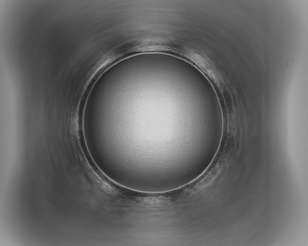 X0000113311189200909211136