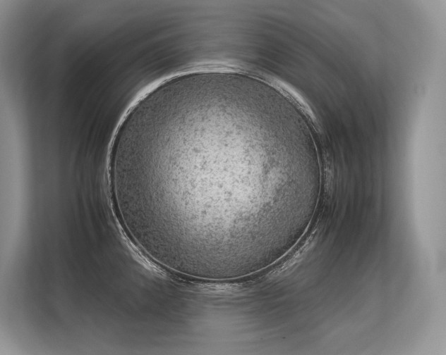 X0000113311192200909211136