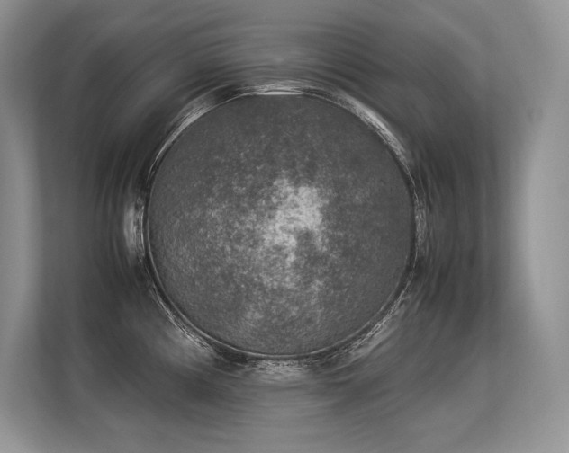 X0000113311194200909211136