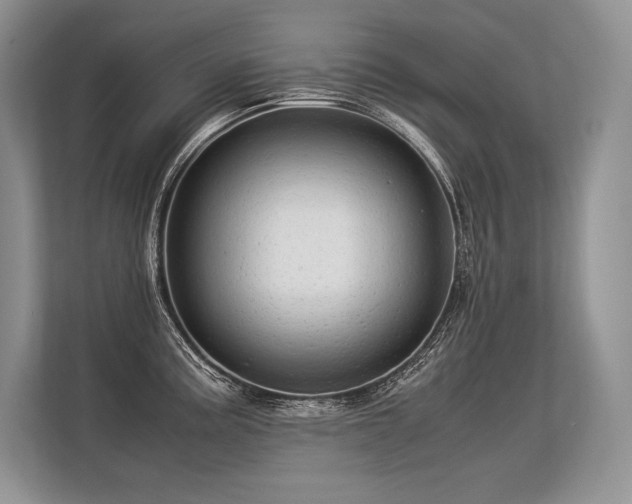 X0000113311195200909211135