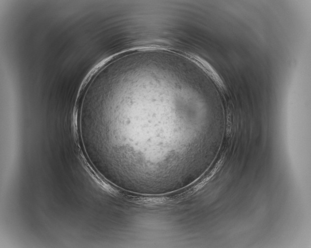 X0000113311196200909211135