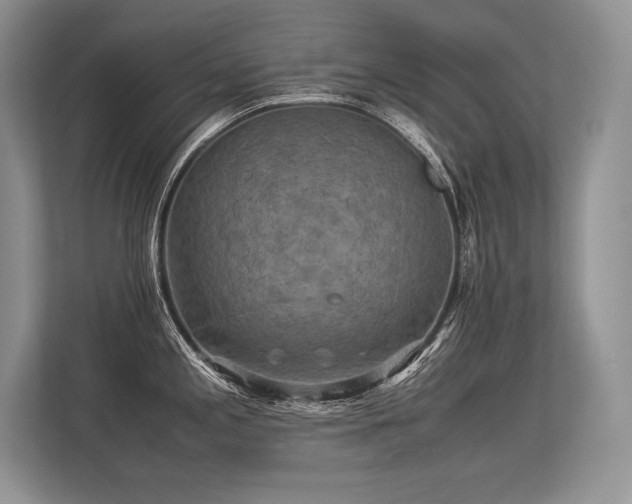 X0000113311197200909211135