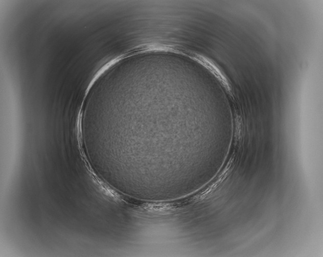 X0000113311198200909211135