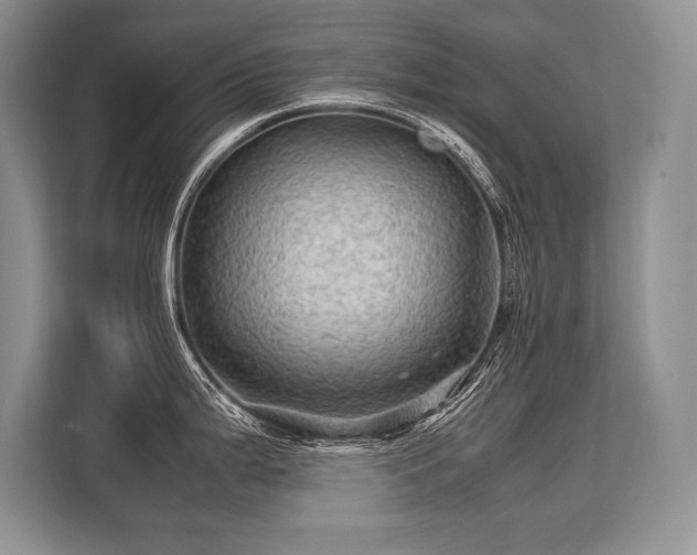 X0000113311199200909211135