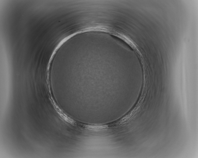 X0000113311200200909211135