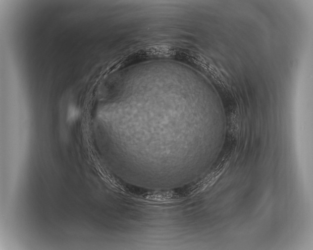 X0000113311201200909211135