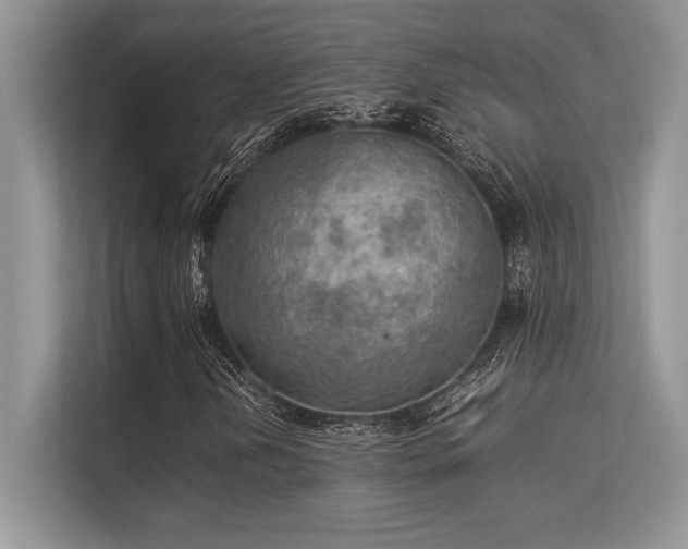 X0000113311202200909211135