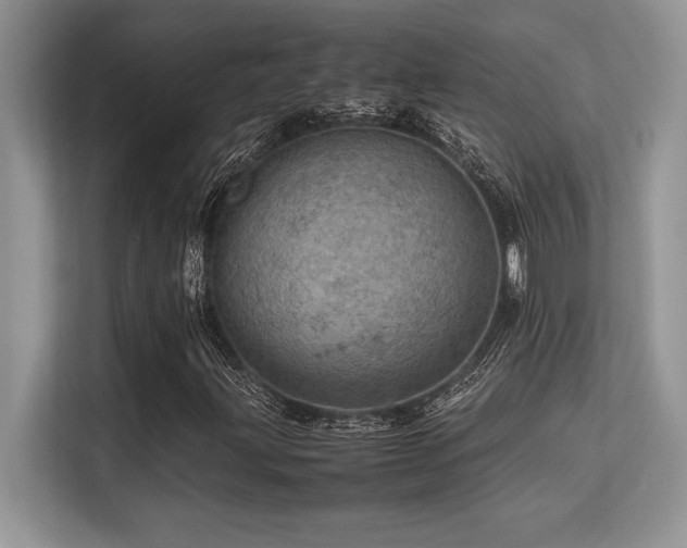 X0000113311203200909211135