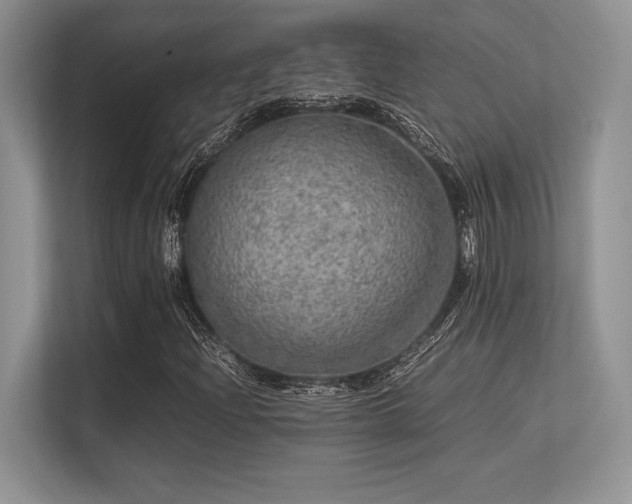 X0000113311204200909211135