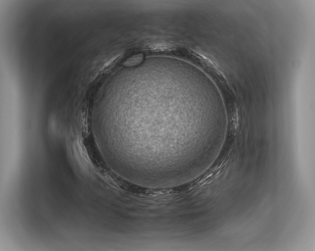 X0000113311205200909211135