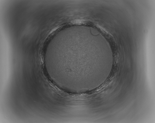 X0000113311206200909211135