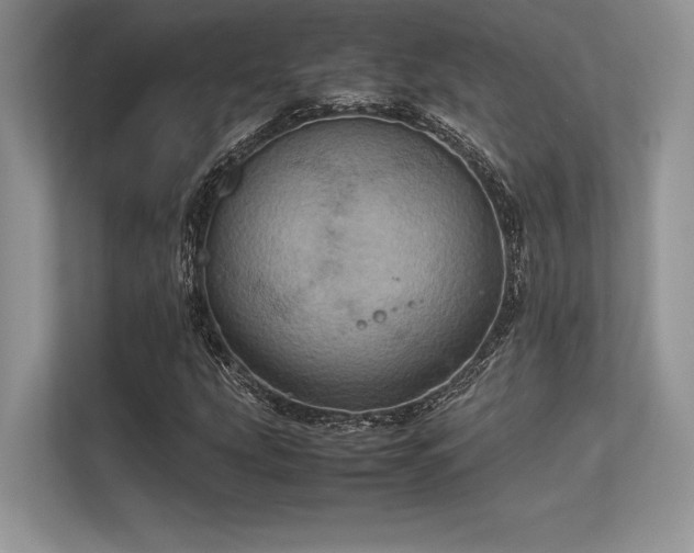 X0000113311207200909211135