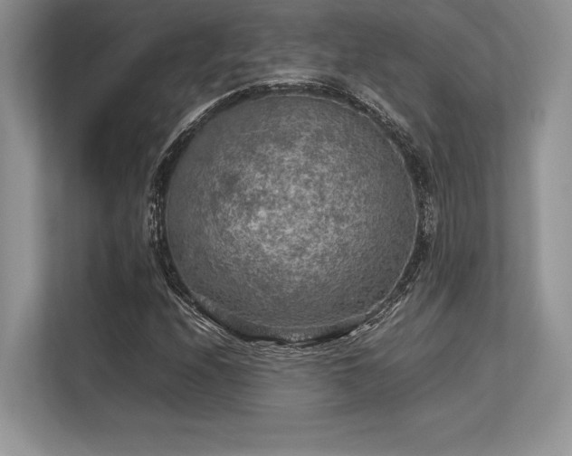 X0000113311208200909211135