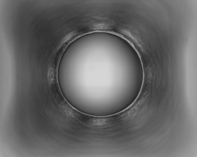 X0000113311211200909211135