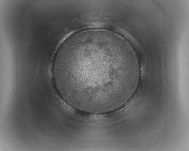 X0000113311212200909211135