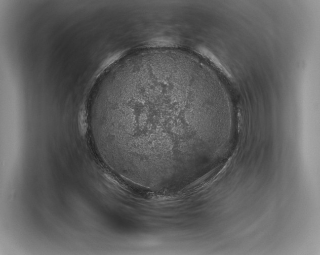 X0000113311213200909211135