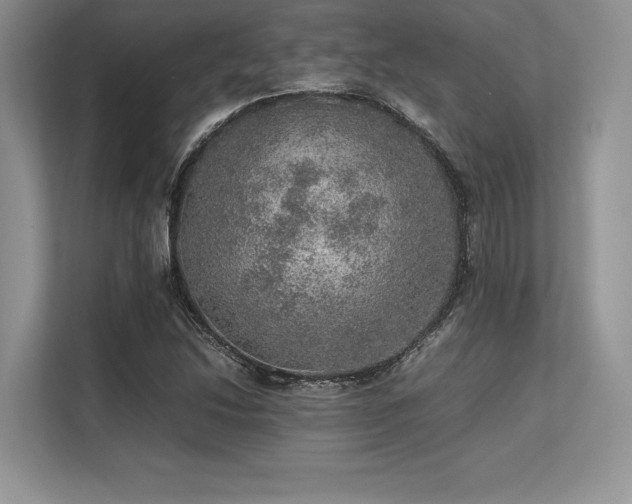 X0000113311214200909211135