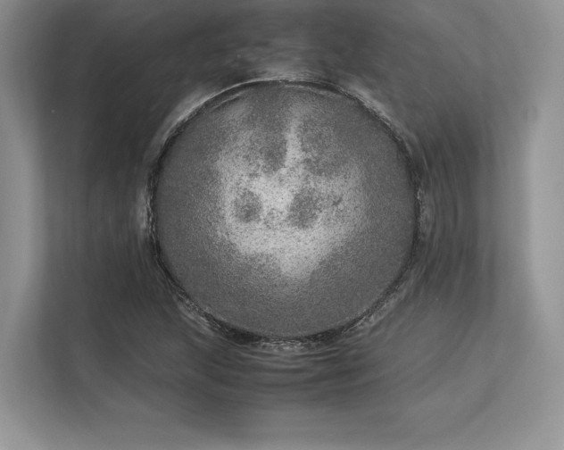 X0000113311215200909211135