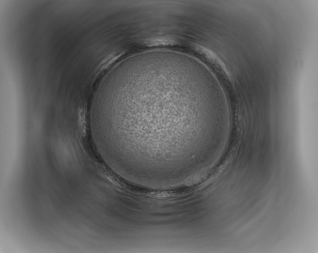 X0000113311217200909211135