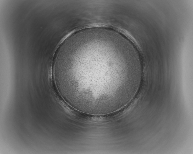 X0000113311220200909211135