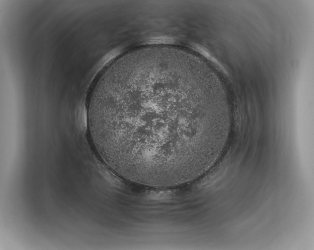 X0000113311221200909211135