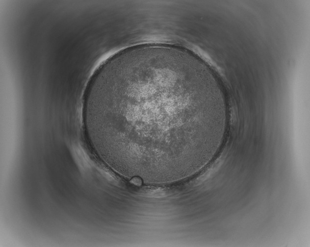 X0000113311222200909211135