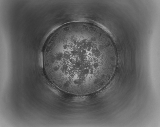 X0000113311223200909211135