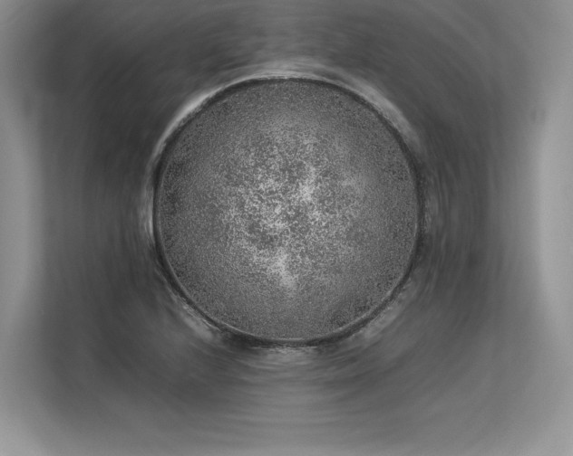 X0000113311224200909211135