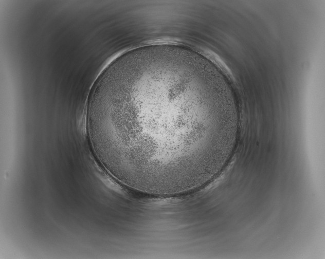 X0000113311228200909211135