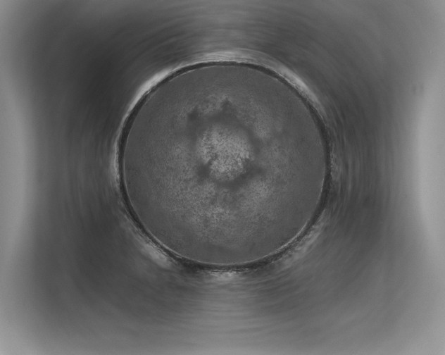 X0000113311230200909211135