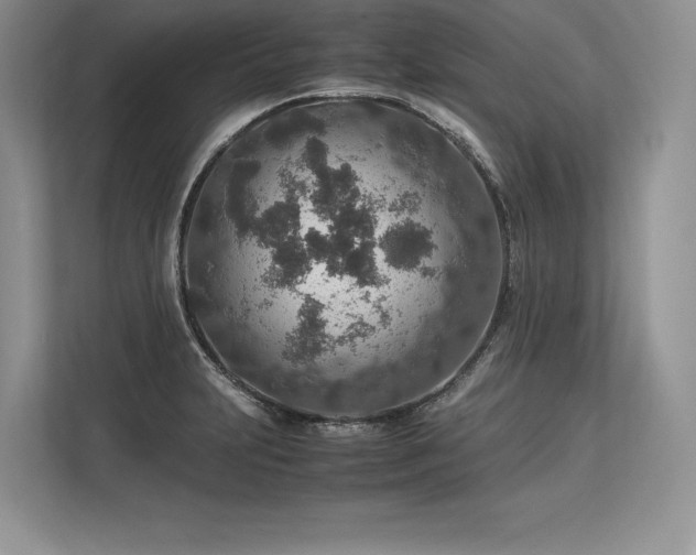 X0000113311231200909211135