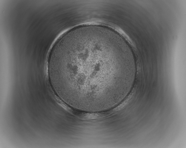 X0000113311232200909211135