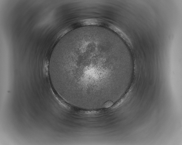 X0000113311233200909211135