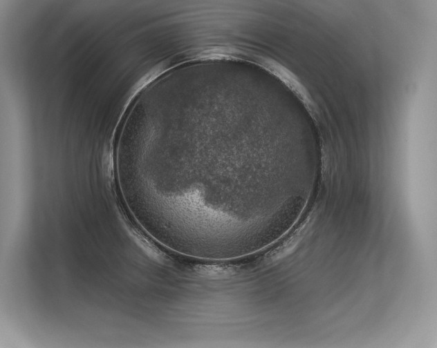 X0000113311234200909211135