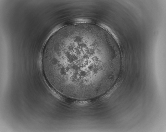 X0000113311235200909211135