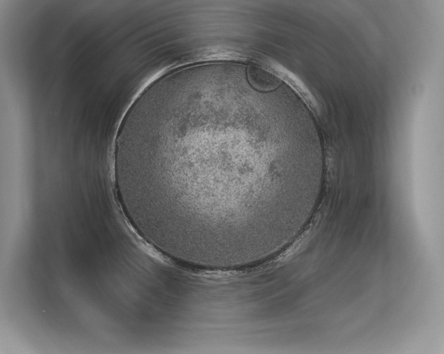 X0000113311236200909211135