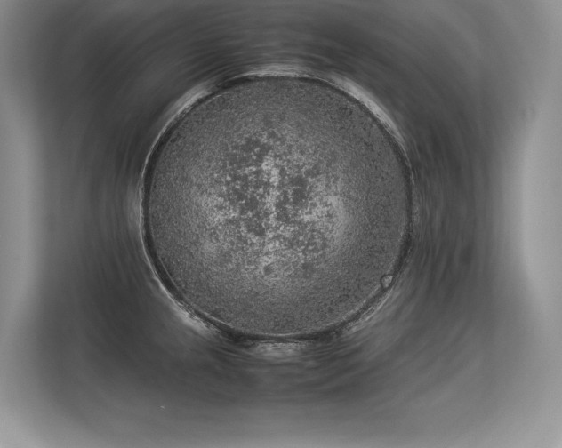 X0000113311237200909211135